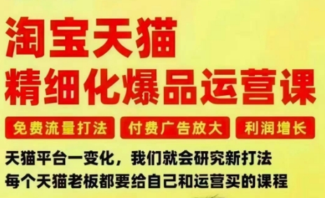 c99909c27319106c49db82b4105f8cbb.jpeg 淘宝天猫精细化爆品运营课,免费流量打法-付费广告放大-利润增长-三大核心痛点,一次全部解决