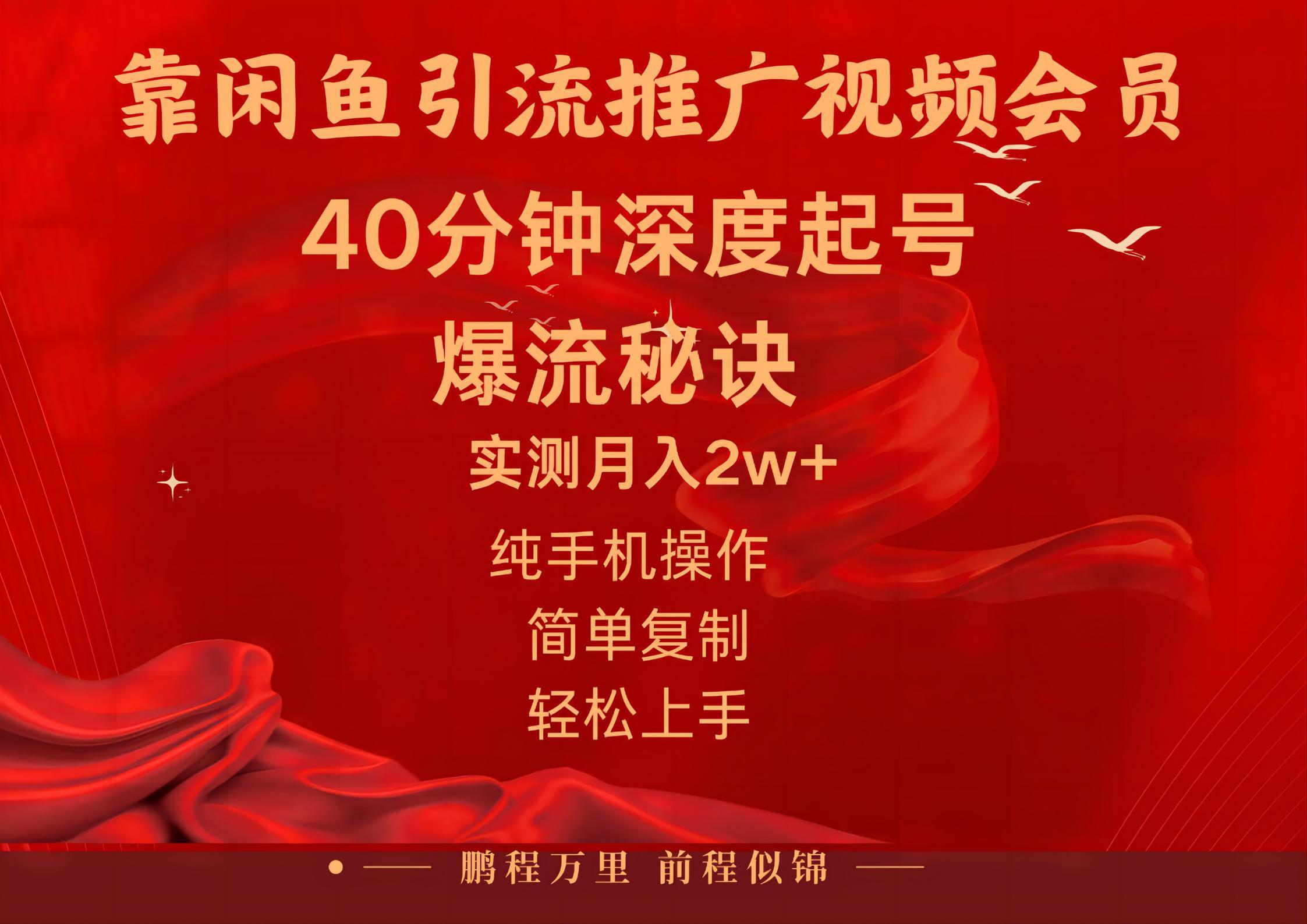 闲鱼暴力引流推广视频会员，能做到日入2W+，操作简单-闲赋网