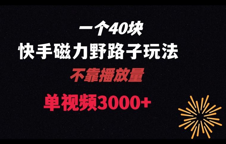 一个40块，快手联合美团磁力新玩法，无视机制野路子玩法，单视频收益4位数【揭秘】-闲赋网