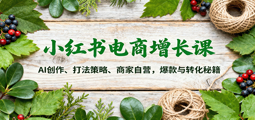 小红书电商增长课：AI创作、打法策略、商家自营，爆款与转化秘籍-闲赋网