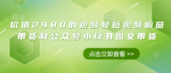 价值2980的视频号短视频橱窗带货和公众号小绿书图文带货-闲赋网