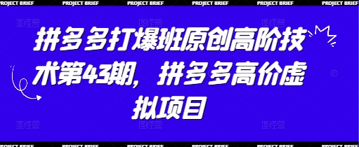 拼多多打爆班原创高阶技术第43期，拼多多高价虚拟项目-闲赋网