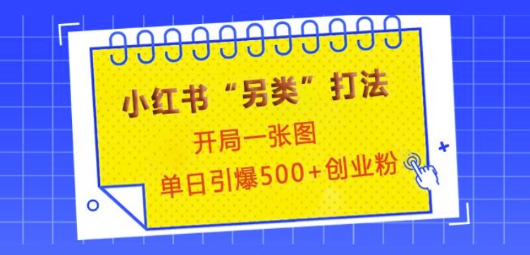 小红书“另类”打法，开局一张图，单日引爆500+精准创业粉【揭秘】-闲赋网