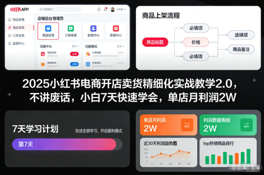2025小红书电商开店卖货精细化实战教学2.0，不讲废话，小白7天快速学会，单店月利润2W-闲赋网