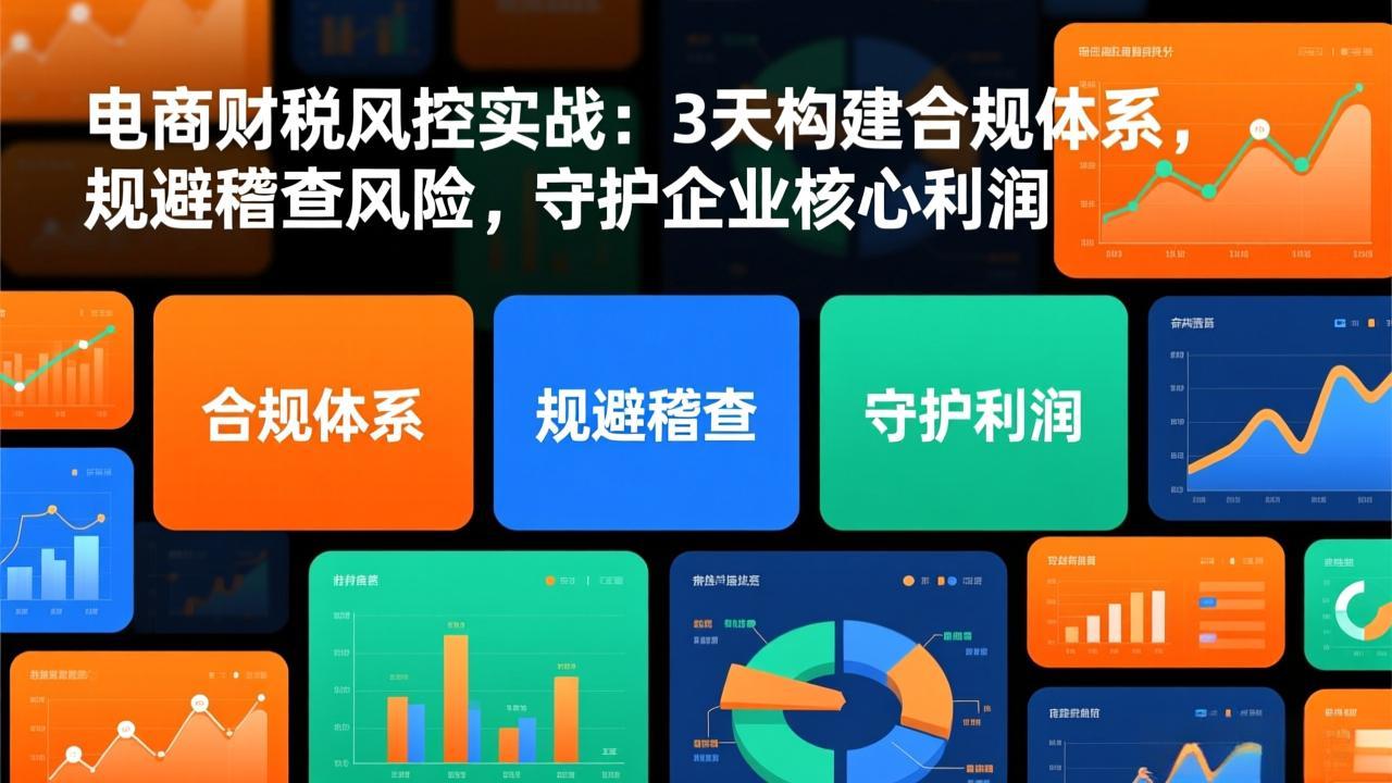 电商财税风控实战：3天构建合规体系，规避稽查风险，守护企业核心利润-闲赋网