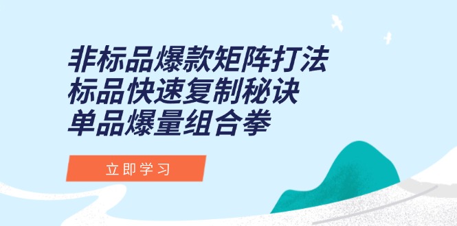 非标品爆款矩阵打法，标品快速复制秘诀，单品爆量组合拳-闲赋网