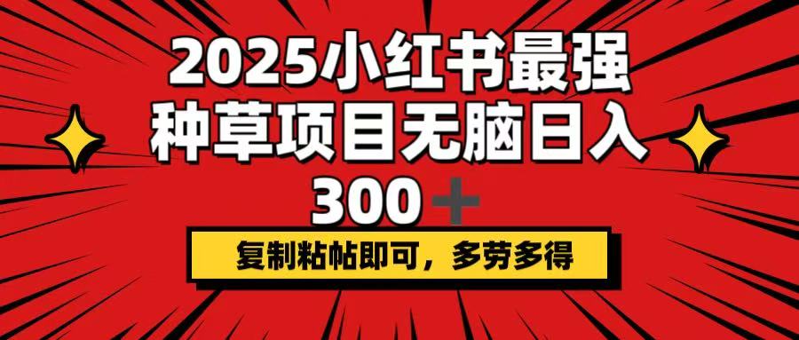 2025小红书最强种草项目，无脑日入300+，复制粘帖即可，多劳多得-闲赋网