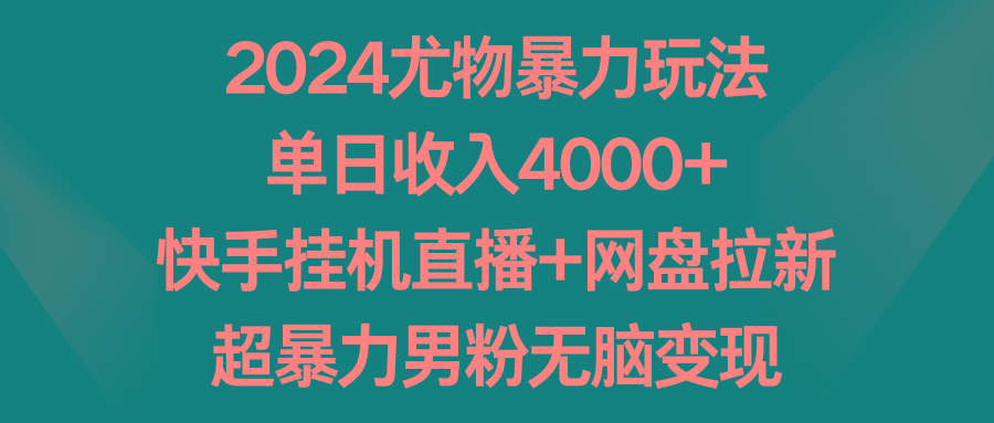 2024尤物暴力玩法 单日收入4000+快手挂机直播+网盘拉新 超暴力男粉无脑变现-闲赋网