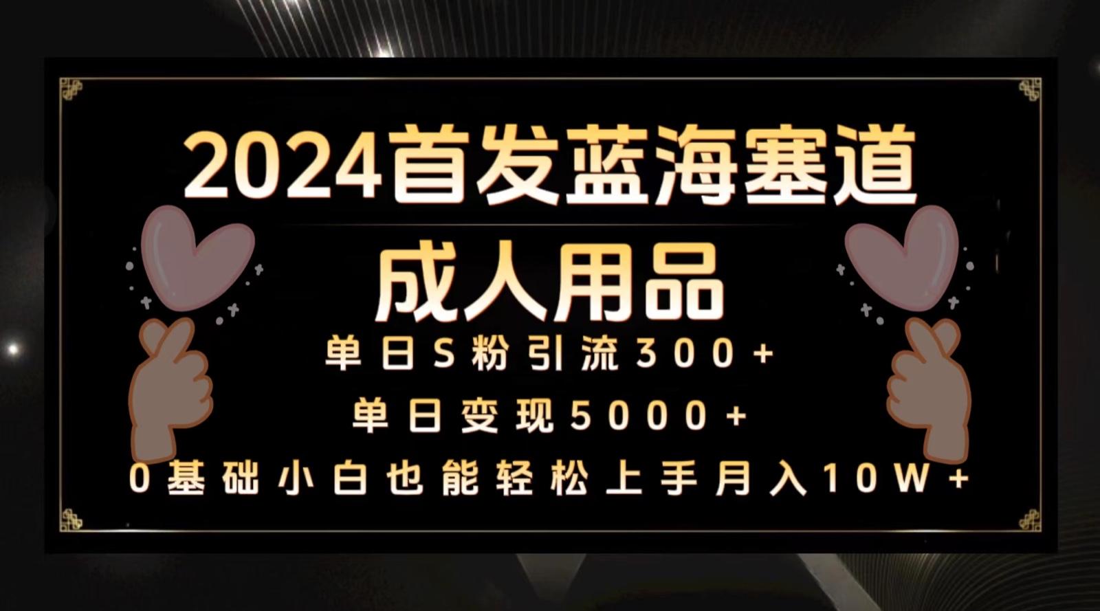 2024首发蓝海塞道成人用品，月入10W+保姆教程-闲赋网