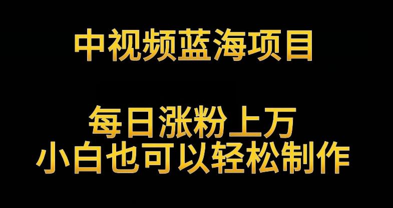 中视频蓝海项目，解读英雄人物生平，每日涨粉上万，小白也可以轻松制作，月入过万不是梦【揭秘】-闲赋网