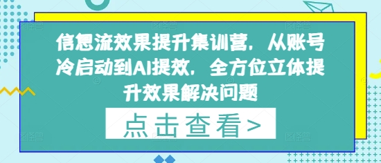 信息流效果提升集训营，从账号冷启动到AI提效，全方位立体提升效果解决问题-闲赋网