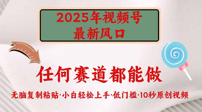 2025年视频号新风口，低门槛只需要无脑执行-闲赋网