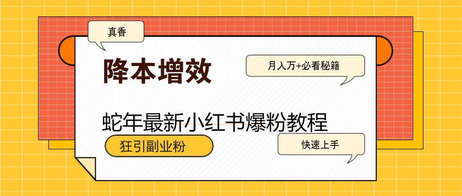 蛇年最新小红书爆粉教程，狂引副业粉，月入万+必看-闲赋网