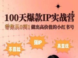 小红书100天爆款IP实战营，带你从0到1做出高价值的小红书号-闲赋网
