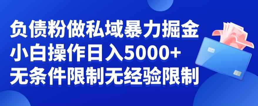 负债粉私域暴力掘金，小白操作入5000，无经验限制，无条件限制【揭秘】-闲赋网