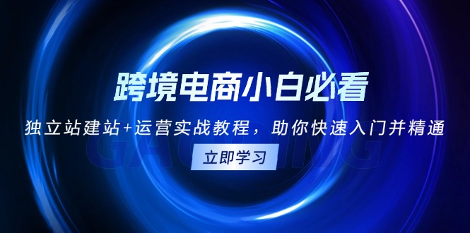 跨境电商小白必看！独立站建站+运营实战教程，助你快速入门并精通-闲赋网