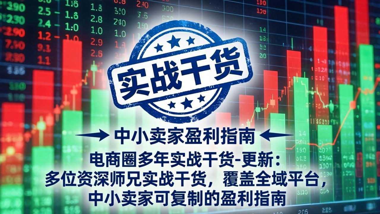 电商圈多年实战干货-更新4月27：多位资深师兄实战干货/覆盖全域平台，中小卖家可复制的盈利指南-闲赋网