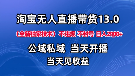 淘宝无人直播13.0，公域私域技术，不封号，不违规布局下半年旺季赛道，日入1K+(独家技术)【揭秘】-闲赋网