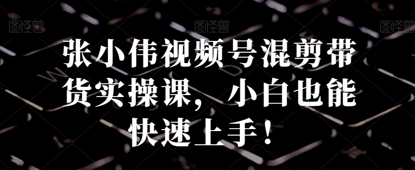 张小伟视频号混剪带货实操课，小白也能快速上手！-闲赋网