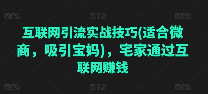 互联网引流实战技巧(适合微商，吸引宝妈)，宅家通过互联网赚钱-闲赋网