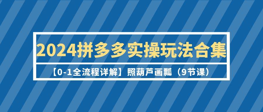 (9559期)2024拼多多实操玩法合集【0-1全流程详解】照葫芦画瓢(9节课)-闲赋网