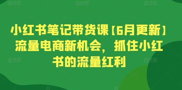 小红书笔记带货课【6月更新】流量电商新机会，抓住小红书的流量红利-闲赋网
