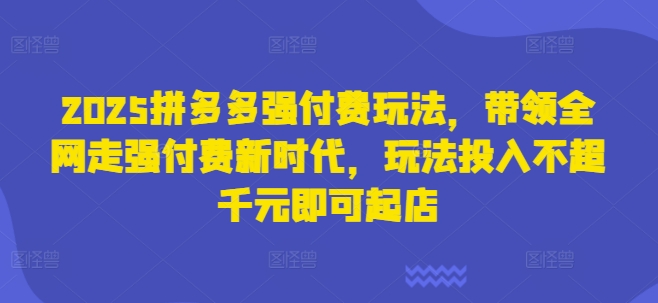 2025拼多多强付费玩法，带领全网走强付费新时代，玩法投入不超千元即可起店-闲赋网
