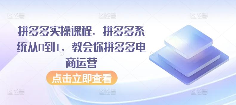 拼多多实操课程，拼多多系统从0到1，教会你拼多多电商运营-闲赋网
