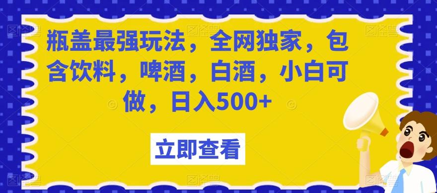 瓶盖最强玩法，全网独家，包含饮料，啤酒，白酒，小白可做，日入500+【揭秘】-闲赋网