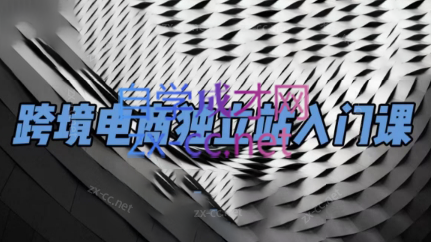 团长·跨境电商独立站入门课(2小时精华)-闲赋网
