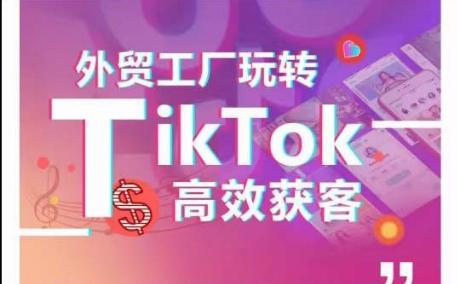 外贸工厂玩转TikTok高效获客，多种引流方式与账号定位技巧，拆解爆款短视频打造成功案例-闲赋网
