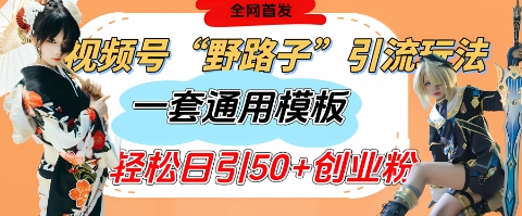 视频号“野路子”玩法，评论区疯狂截流，一套模板单日单号引流50+创业粉-闲赋网