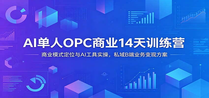 AI单人OPC商业14天训练营：商业模式定位与AI工具实操，私域B端业务变现方案-闲赋网