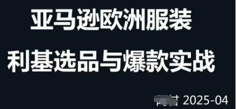 跨境电商选品案例24-25年，聚焦跨境电商选品策略与运营优化，助力卖家挖掘蓝海市场-闲赋网