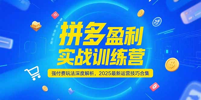 拼多多盈利实战训练营，强付费玩法深度解析，2025运营技巧合集-更新6月-闲赋网