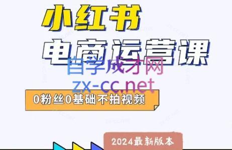 达哥·小红书电商运营(2024版)-闲赋网