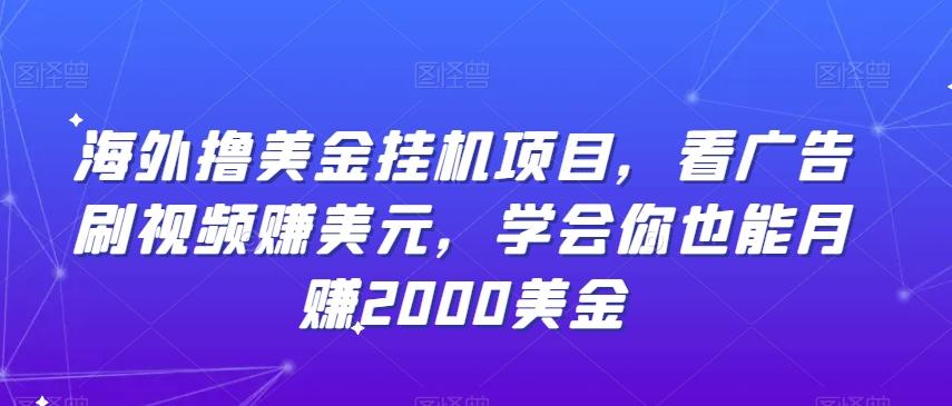 海外撸美金挂机项目，看广告刷视频赚美元，学会你也能月赚2000美金-闲赋网