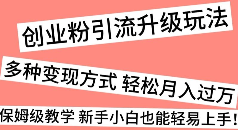 创业粉引流升级玩法，多种变现方式轻松月入过万，保姆级教学新手小白也能轻易上手！-闲赋网