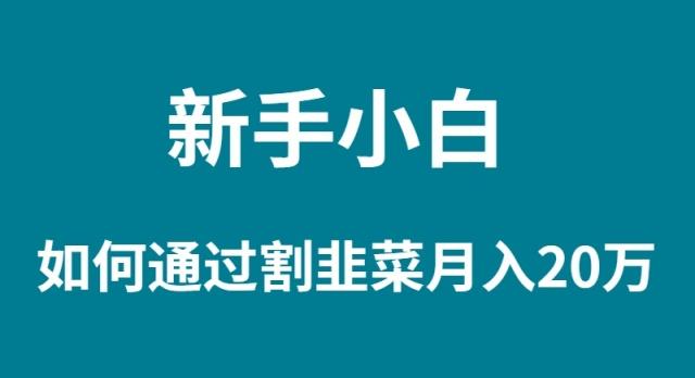 (9308期)新手小白如何通过割韭菜月入 20W-闲赋网