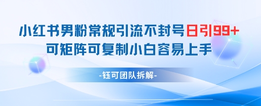 小红书男粉常规引流不封号日引99+变现简单 可矩阵可复制小白容易上手-闲赋网