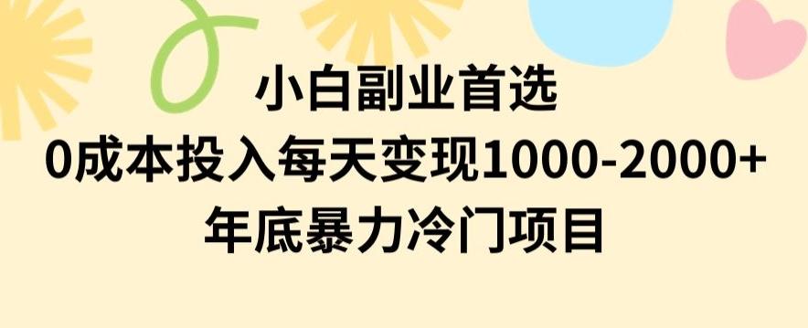 小白副业首选，0成本投入，每天变现1000-2000年底暴力冷门项目【揭秘】-闲赋网
