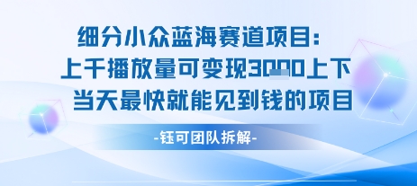 小众蓝海赛道项目：当天变现1k+适合新手操作 +适合长期玩-闲赋网