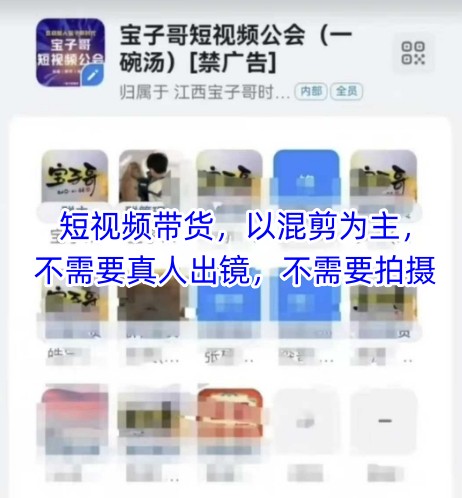 宝子哥头部团队短视频带货，以混剪为主，不需要真人出镜，不需要拍摄【更新】-闲赋网