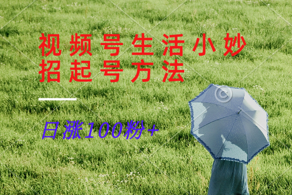 视频号生活小妙招分享赛道， 起号涨粉新方法，日涨100粉-闲赋网
