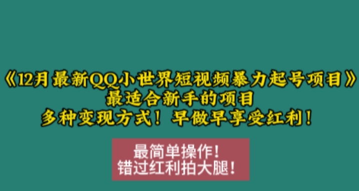 12月最新QQ小世界短视频暴力起号项目，最适合新手的项目，多种变现方式-闲赋网