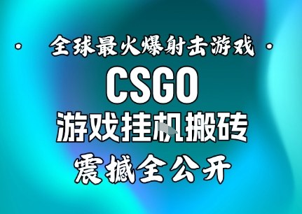 【年底大揭秘】基于全球最火爆的射击CSGO游戏挂G搬砖，日入5张+，震撼公开-闲赋网