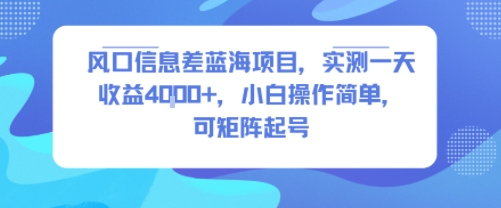 风口信息差蓝海项目，实测一天收益4k+，小白操作简单，可矩阵起号-闲赋网