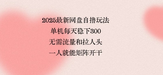 2025最新网盘自撸玩法，单机每天稳下3张，无需流量和拉人头，一个人就可轻松矩阵，全网独一份【揭秘】-闲赋网