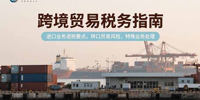 跨境贸易税务指南，进口业务退税要点，转口贸易风险，特殊业务处理-闲赋网