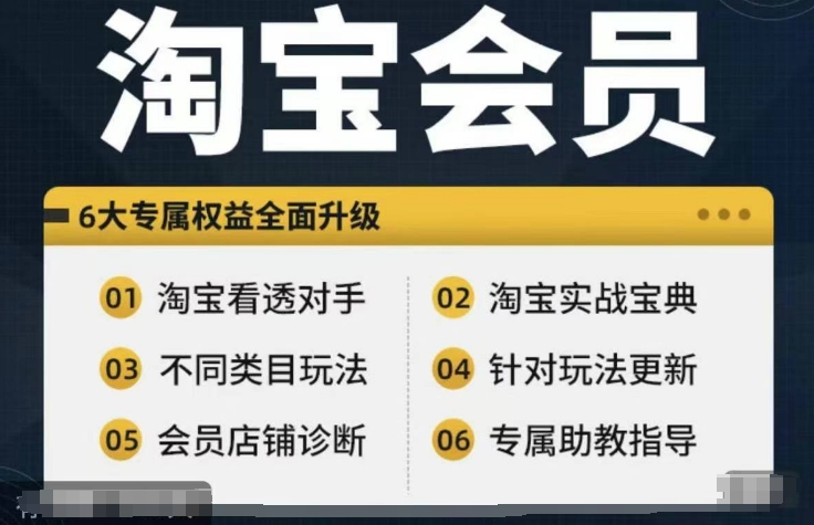 淘宝会员【淘宝所有课程，全面分析对手】，初级到高手全系实战宝典-闲赋网